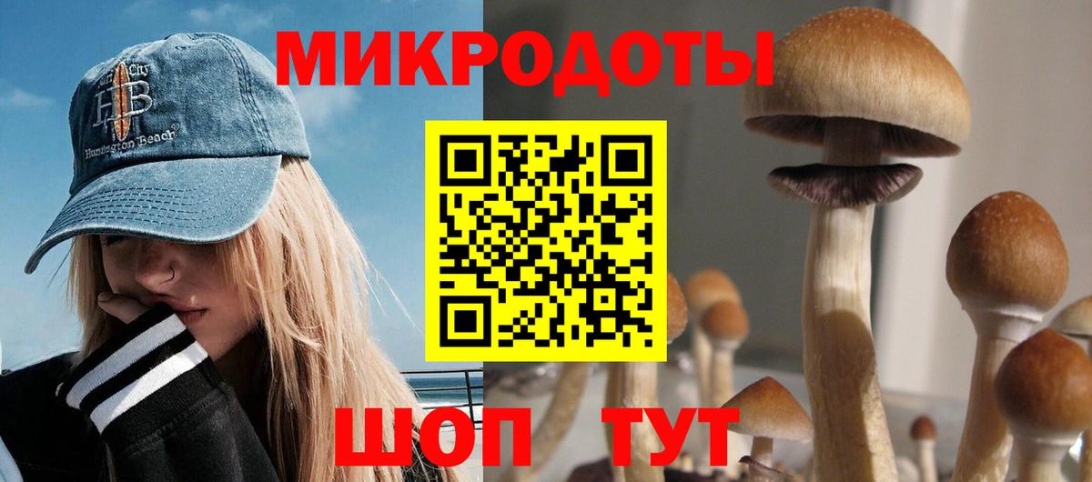 Каспийск  Галлюциногенные грибы Psilocybe  Вход с VPN 